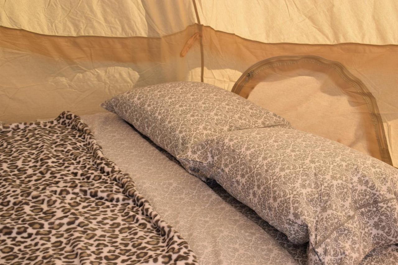 Starlight Tent 2 Холбрук Екстериор снимка